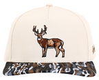 Cream/Ranch - Buck
